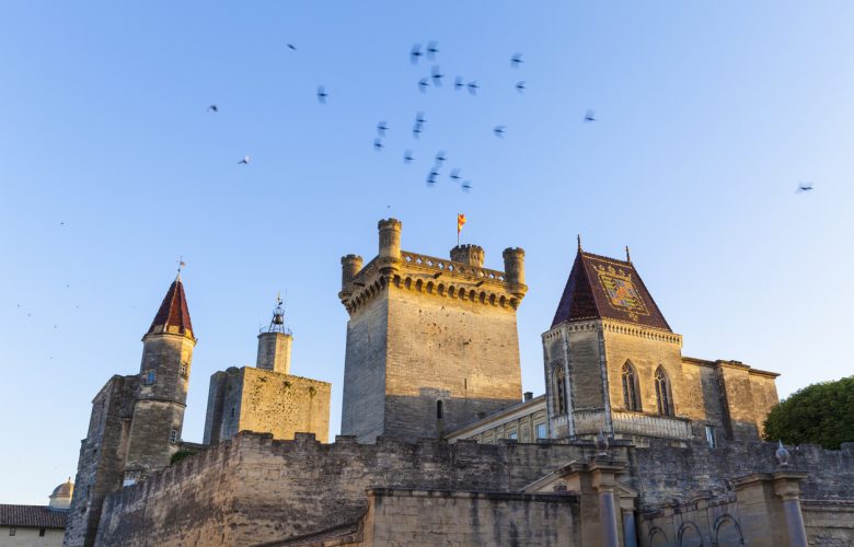 Uzes, France - July 04, 2016: Duke's Caste, called the Duchy in golden late afternoon light is the main attraction of Uzes. Uzes is situated in the Department Gard in the Region Languedoc-Roussillon. A swarm of swift passing by.